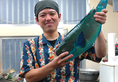 働く様子1