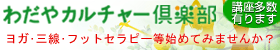 ����䥫����㡼������ǿ�����Τη򹯤���硪